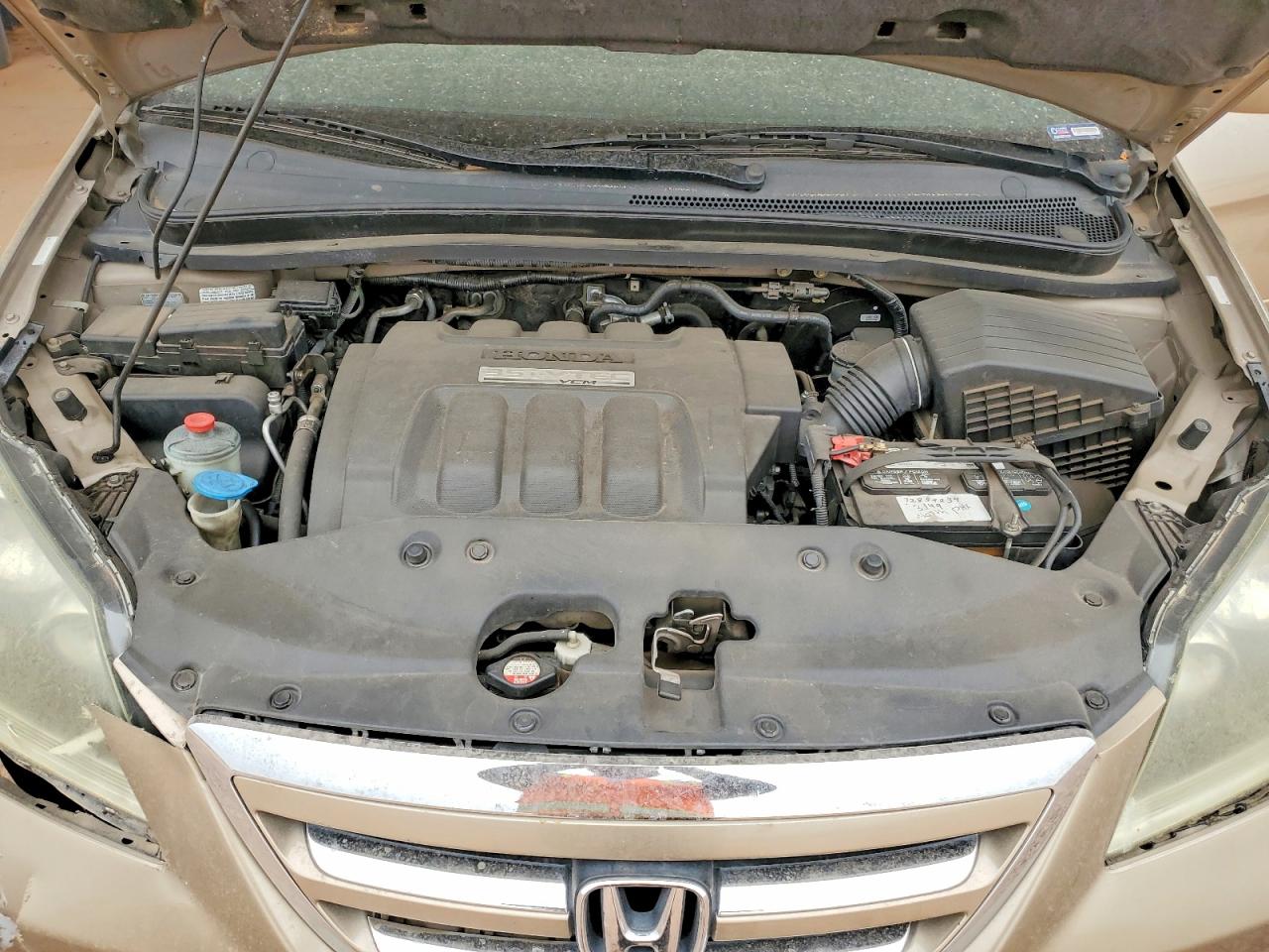 Honda Odyssey Exl