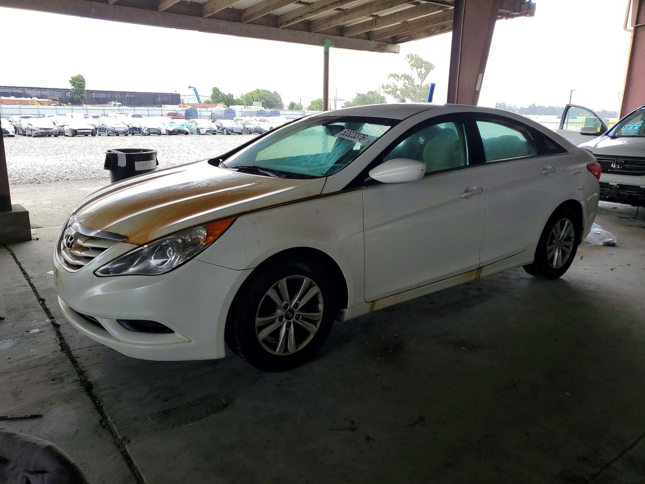 Salvage Hyundai SONATA Image