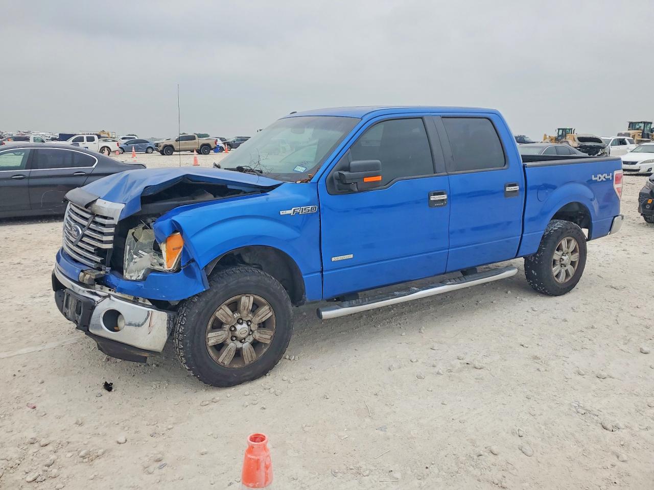Salvage Ford F-150 Image