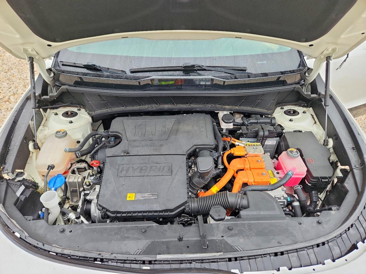 Kia Niro Ex