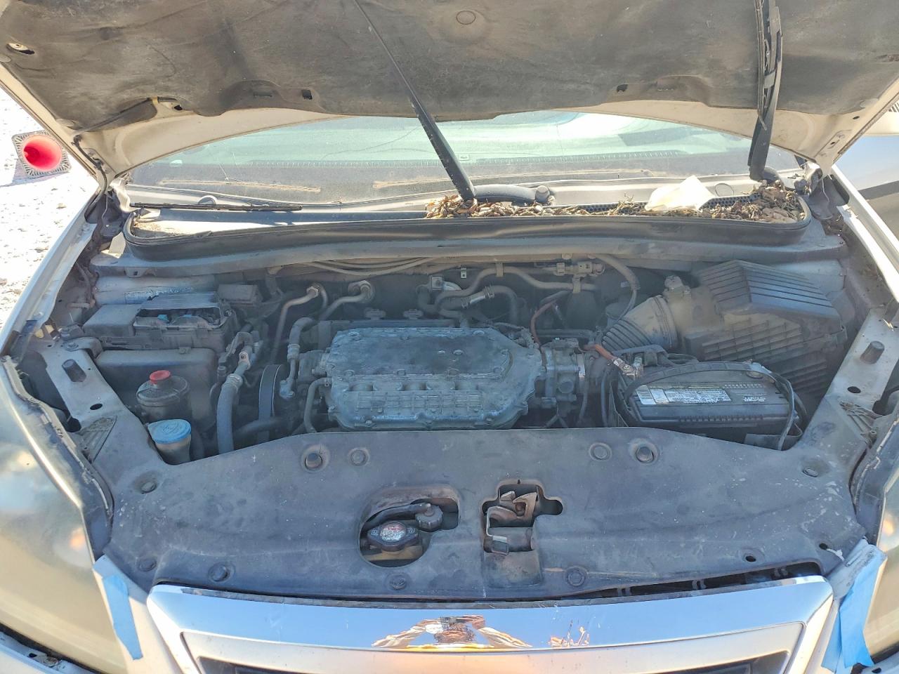 Honda Odyssey Exl