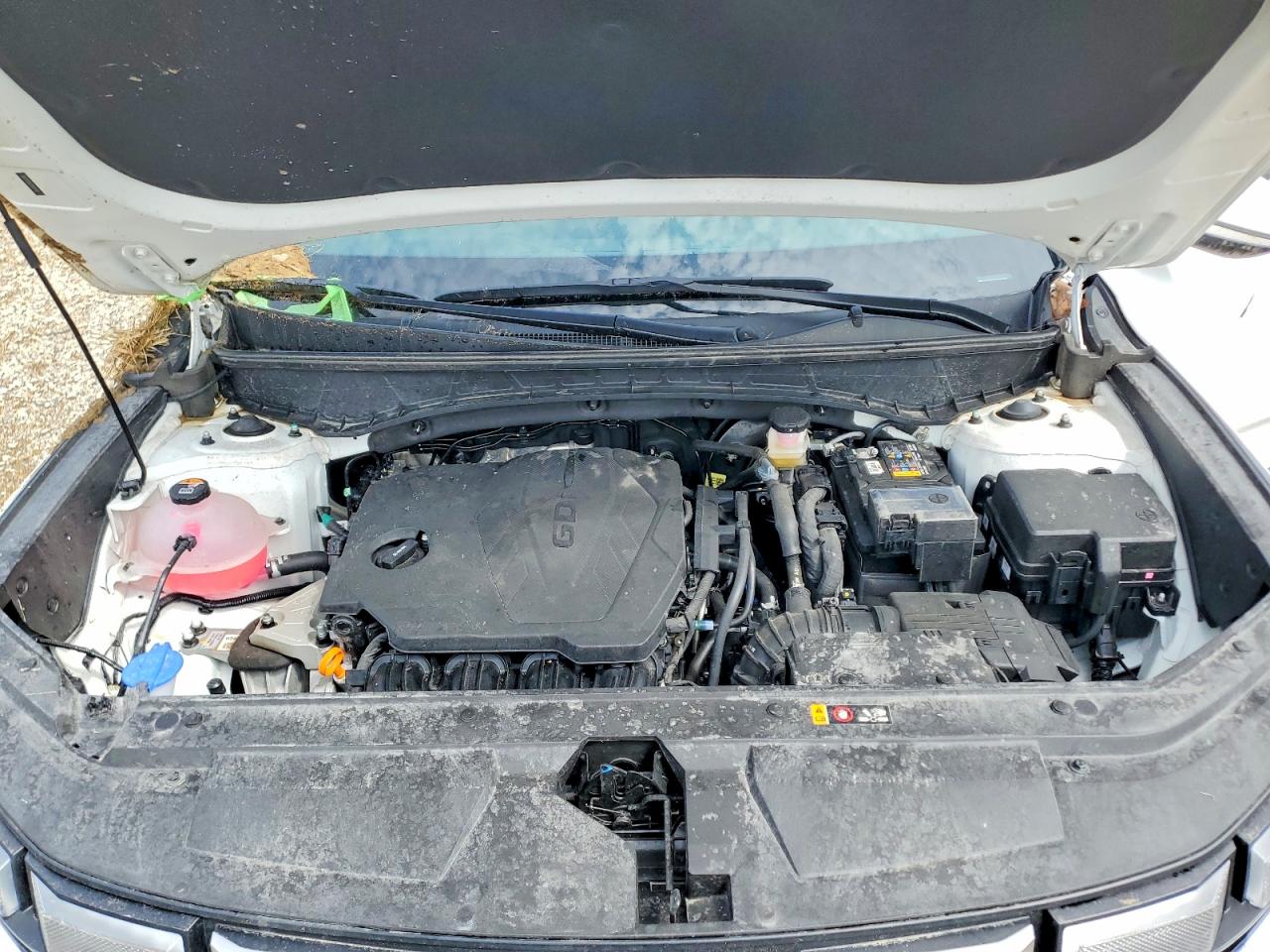 Hyundai SANTA CRUZ Sel Activity