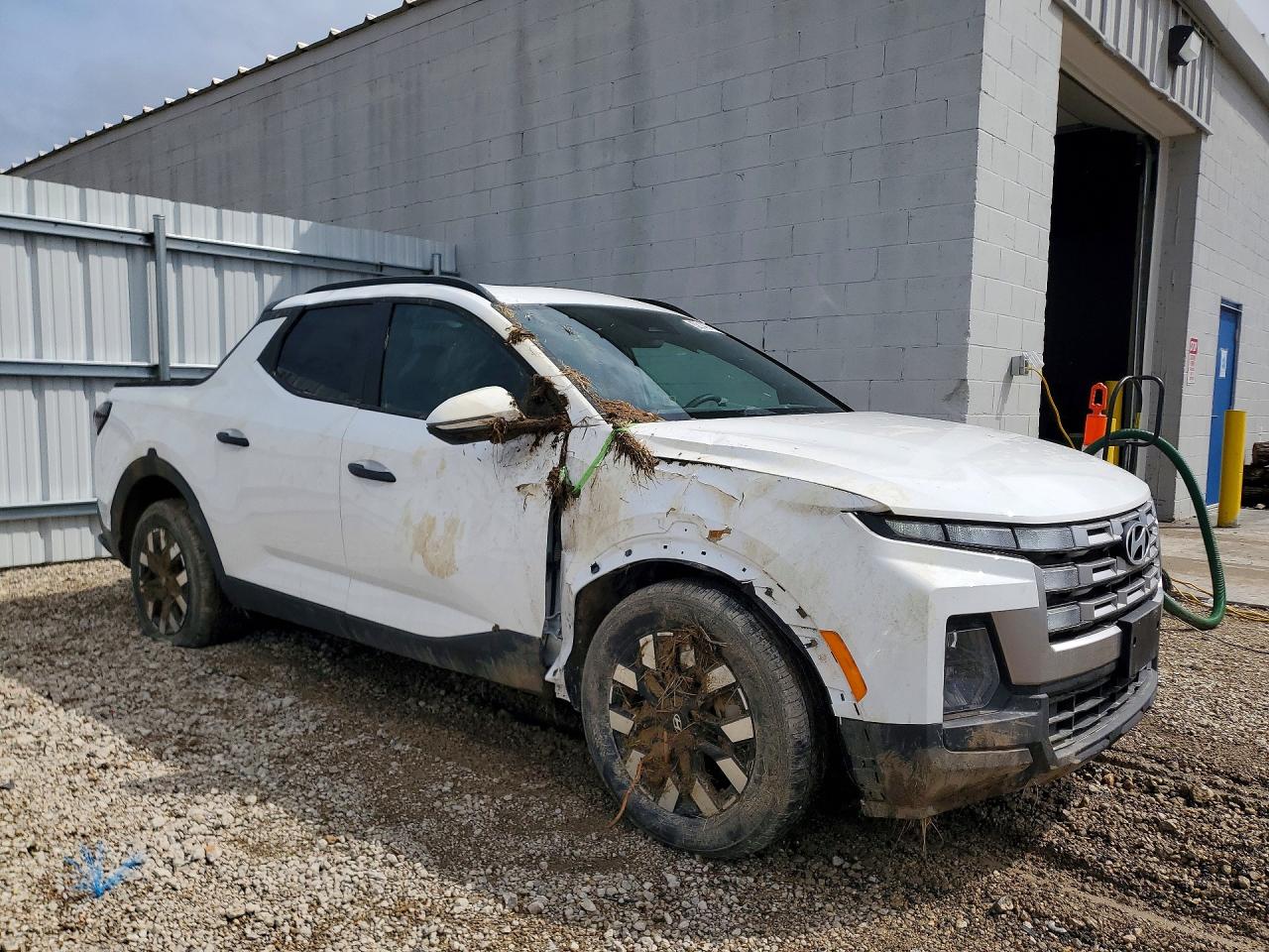 Hyundai SANTA CRUZ Sel Activity