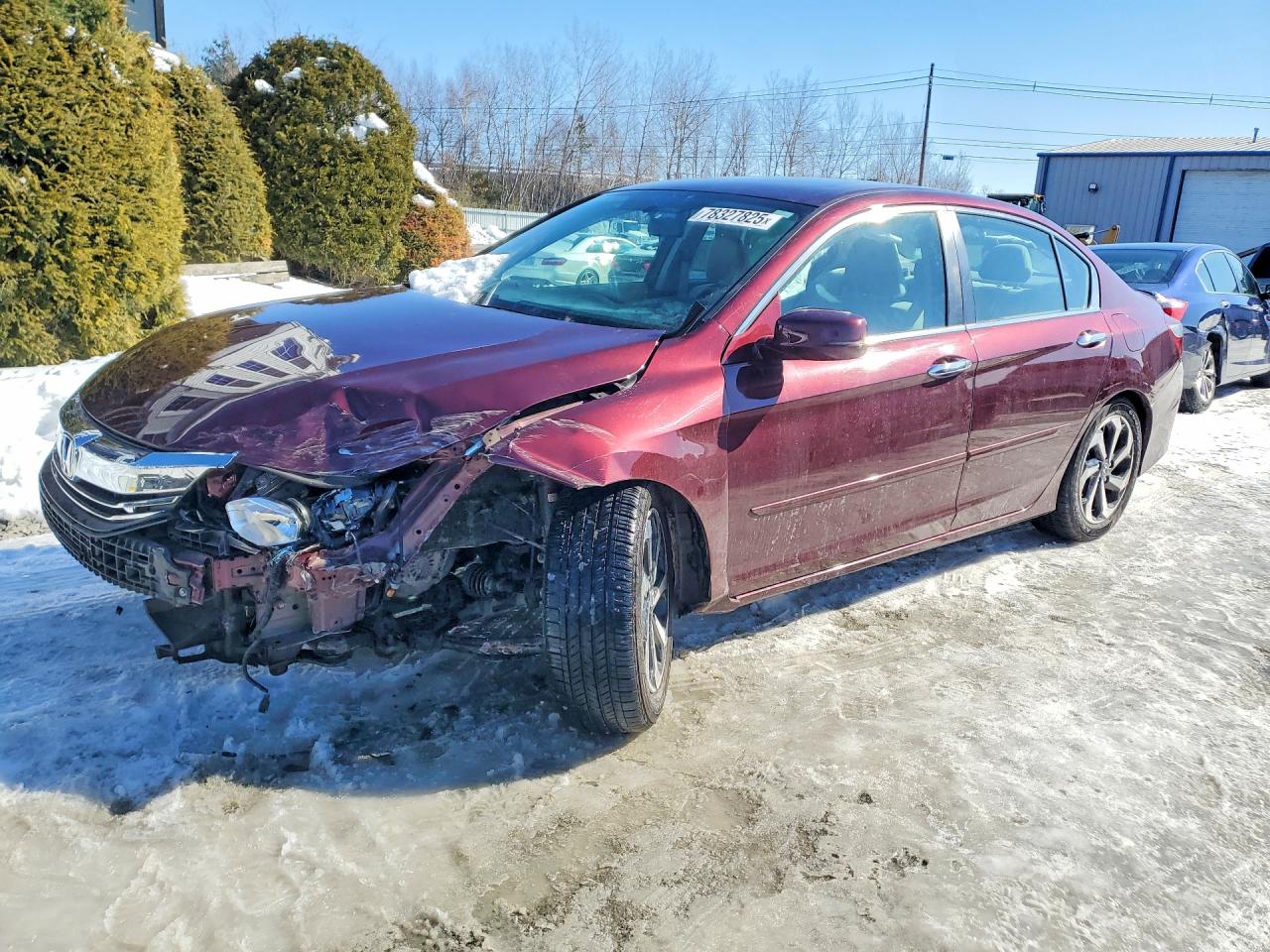 Salvage Honda Accord Image