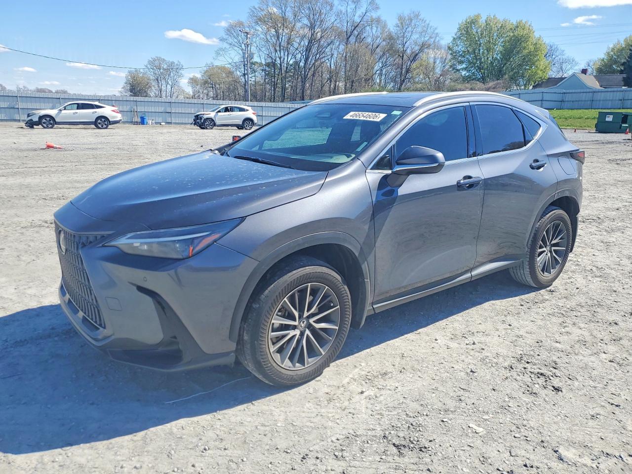 Salvage Lexus NX Image