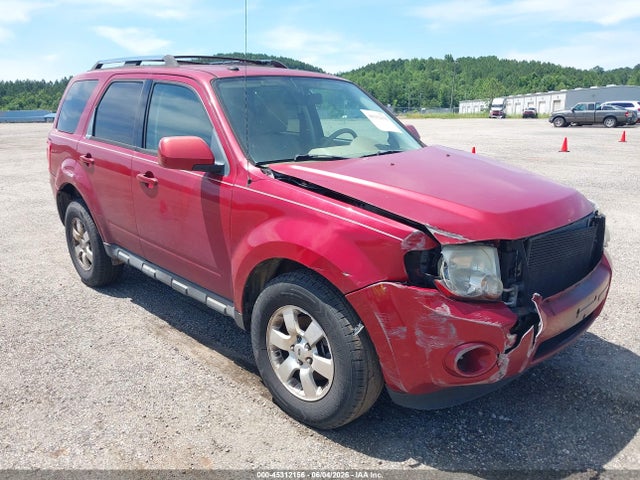 Salvage Ford Escape Image