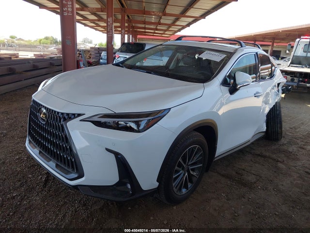 Lexus NX Premium