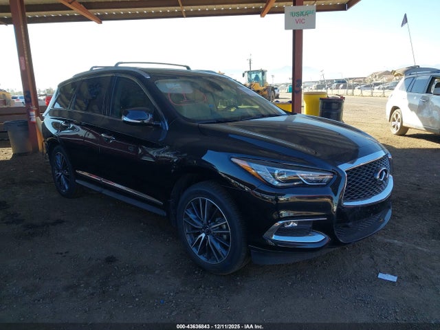 Salvage INFINITI Qx Image