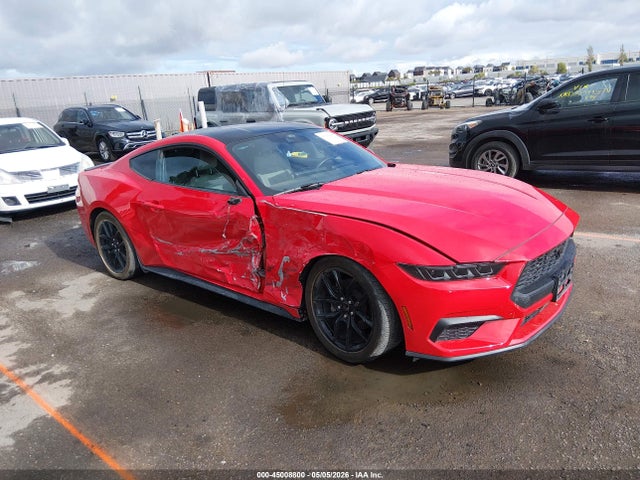 Salvage Ford Mustang Image
