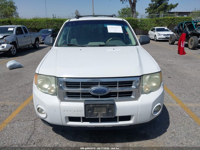 Ford Escape Xlt