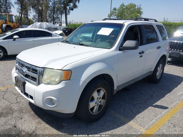 Ford Escape Xlt