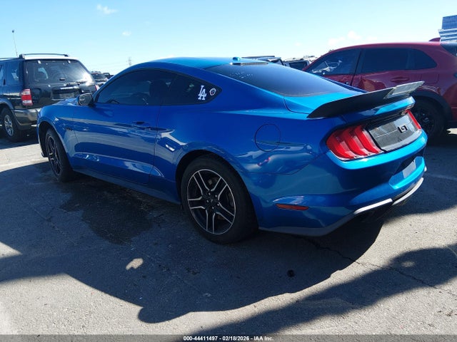 Ford Mustang Gt Fastback