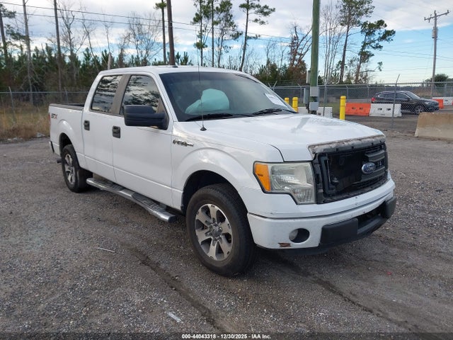 Salvage Ford F-150 Image
