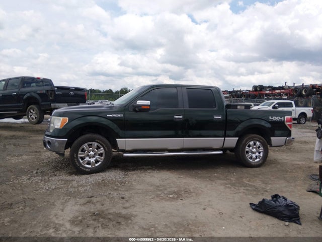 Ford F-150 Xlt