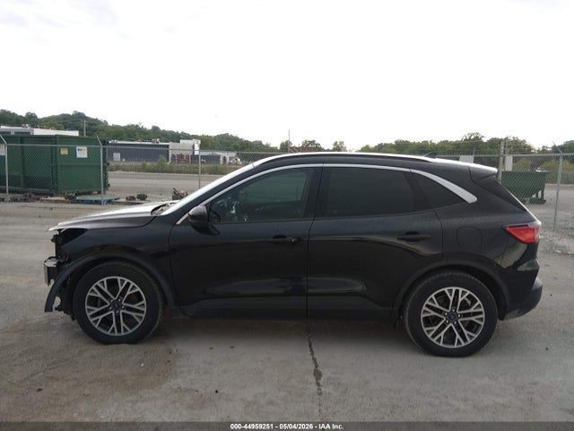 Ford Escape Sel