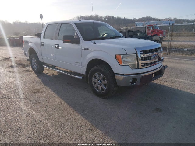Salvage Ford F-150 Image