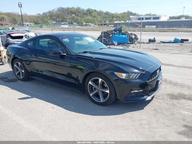 Salvage Ford Mustang Image