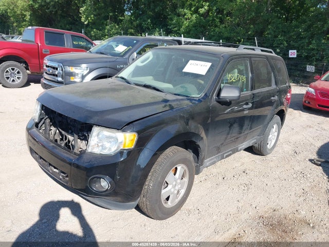 Ford Escape Xlt