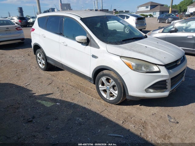 Salvage Ford Escape Image