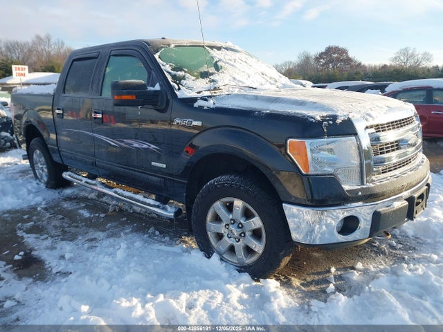 Salvage Ford F-150 Image