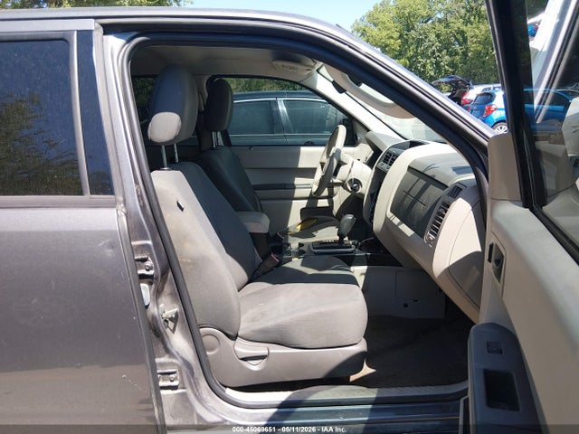 Ford Escape Xls
