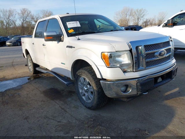 Salvage Ford F-150 Image