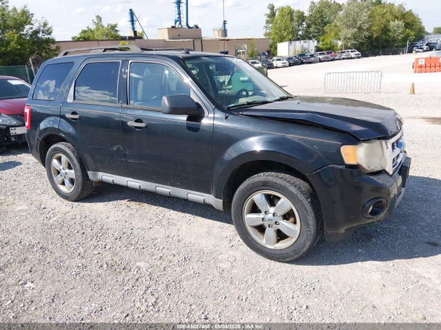 Salvage Ford Escape Image