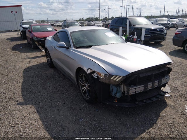 Salvage Ford Mustang Image