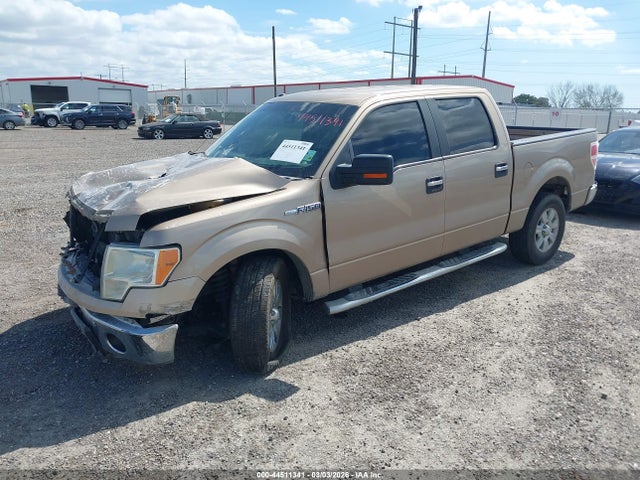 Ford F-150 Xlt
