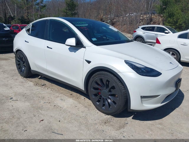 Salvage Tesla Model Y Image