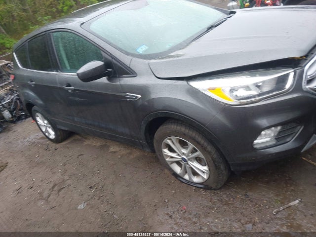 Salvage Ford Escape Image