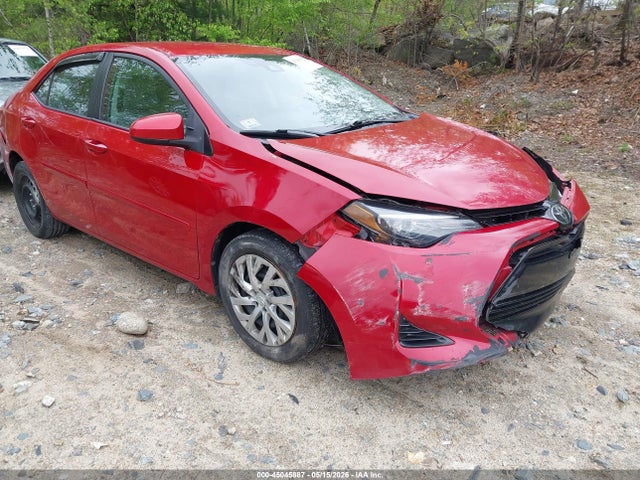 Salvage Toyota Corolla Image