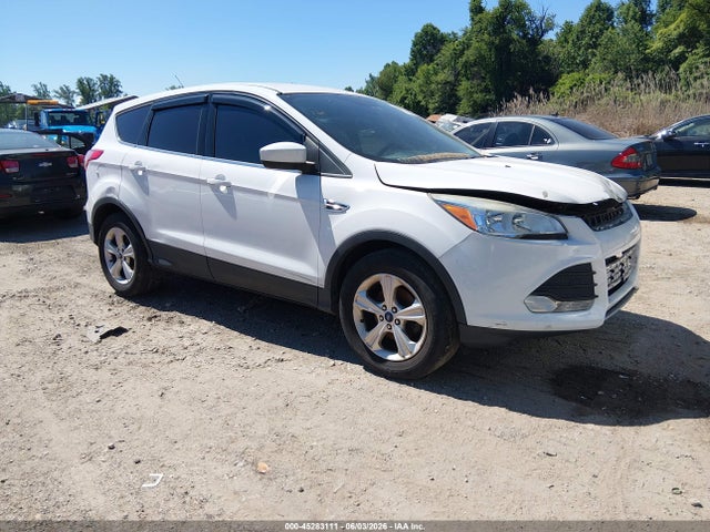 Salvage Ford Escape Image