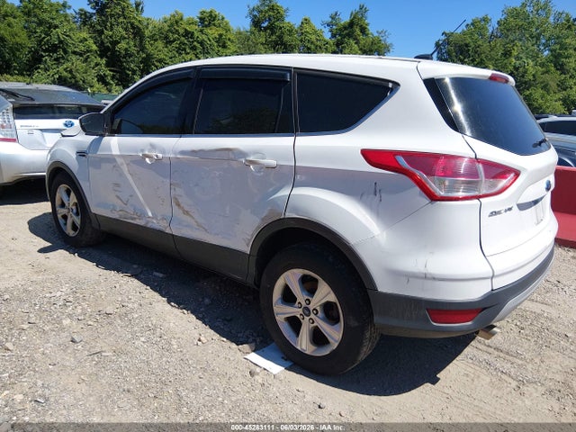 Ford Escape Se