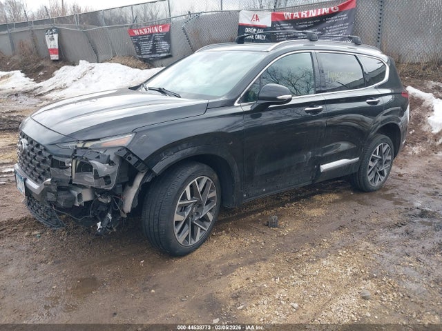 Hyundai SANTA FE Calligraphy