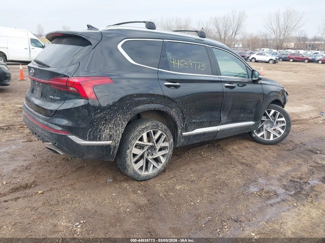 Hyundai SANTA FE Calligraphy