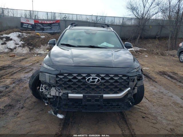 Hyundai SANTA FE Calligraphy