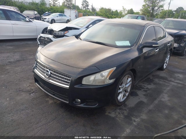 Nissan Maxima 3.5 Sv