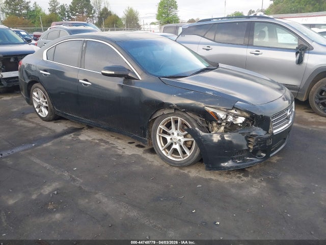 Salvage Nissan Maxima Image