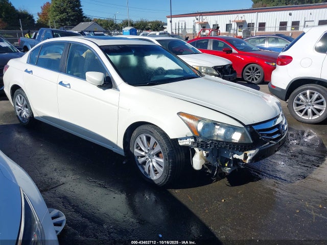 Salvage Honda Accord Image