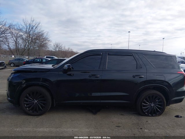 Hyundai PALISADE Calligraphy Night Edition