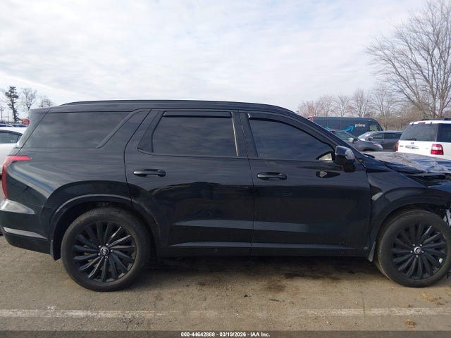Hyundai PALISADE Calligraphy Night Edition
