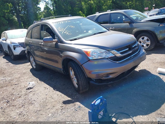 Salvage Honda CR-V Image