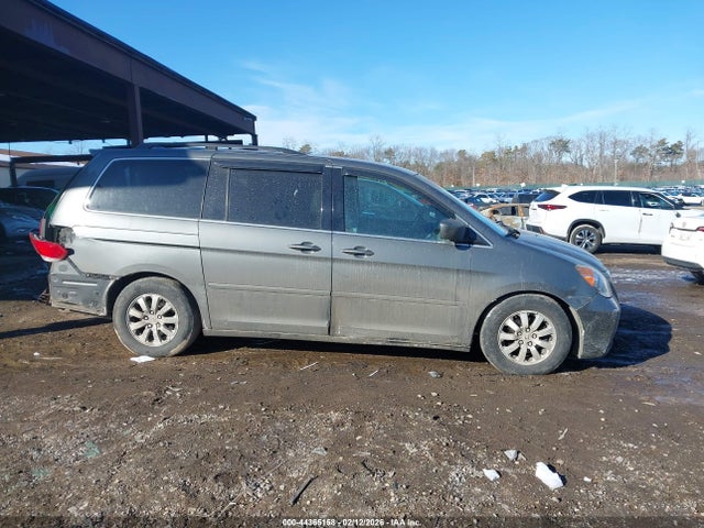 Honda Odyssey Ex-l