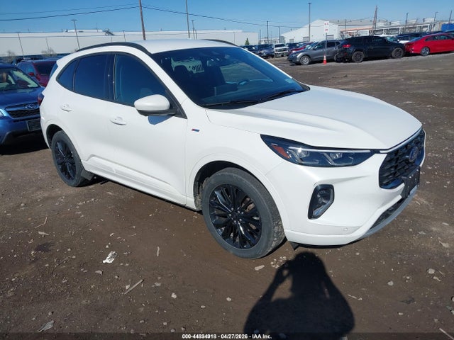 Salvage Ford Escape Image