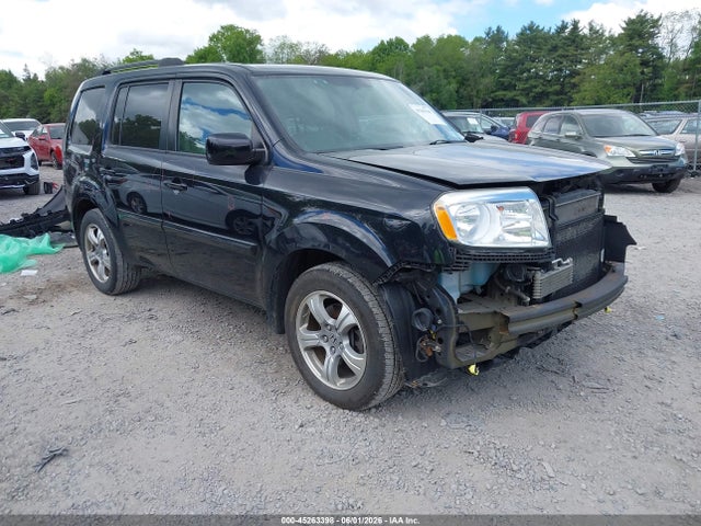 Salvage Honda Pilot Image
