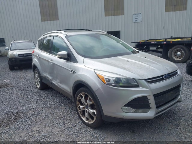 Salvage Ford Escape Image
