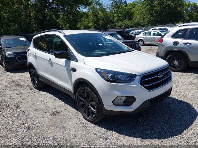 Salvage Ford Escape Image