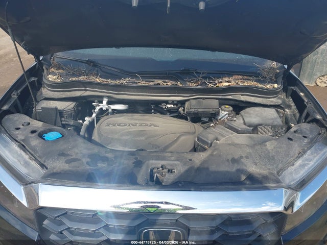 Honda Passport Awd Ex-l