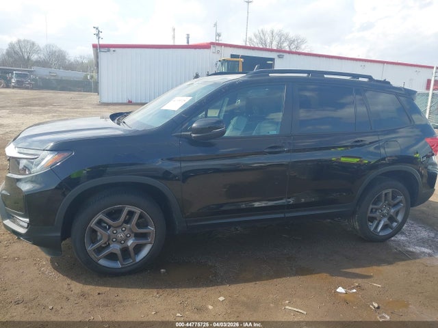 Honda Passport Awd Ex-l